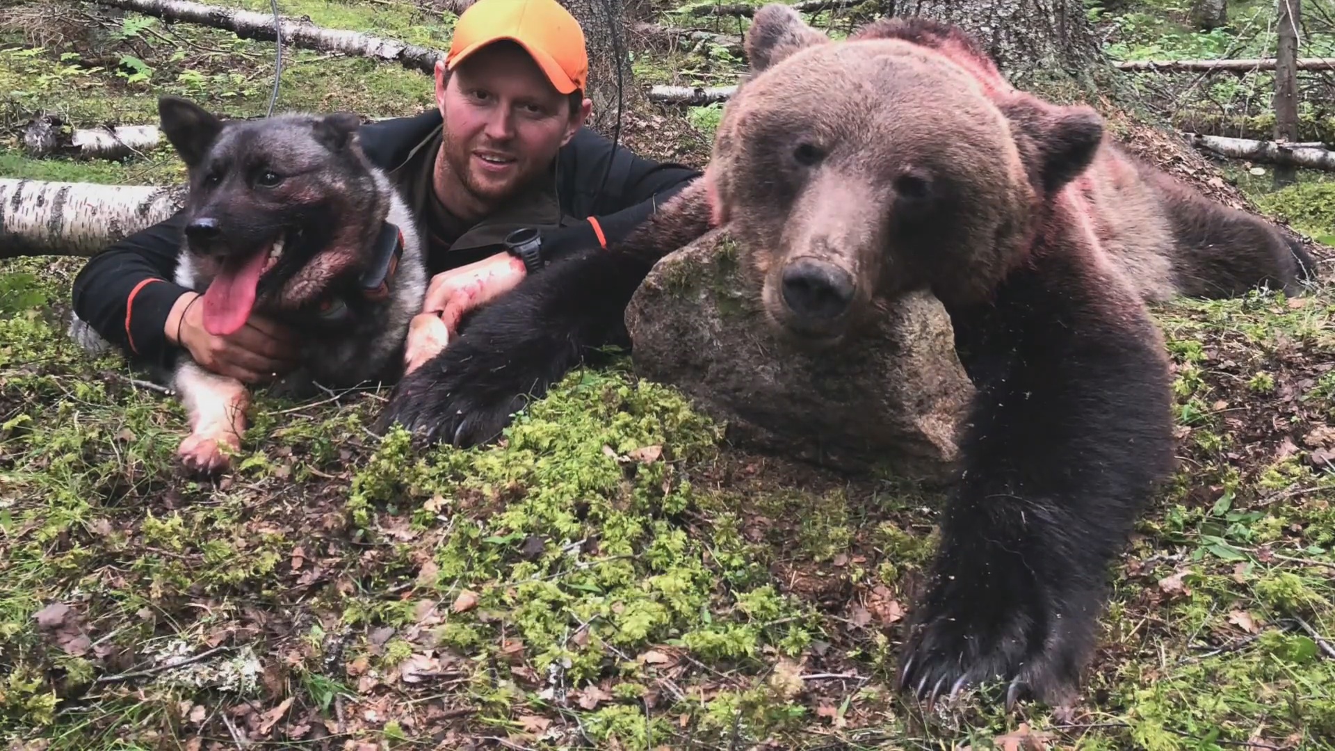 Martin Brenne Jegerliv : Björnjakt 2020 Del 3