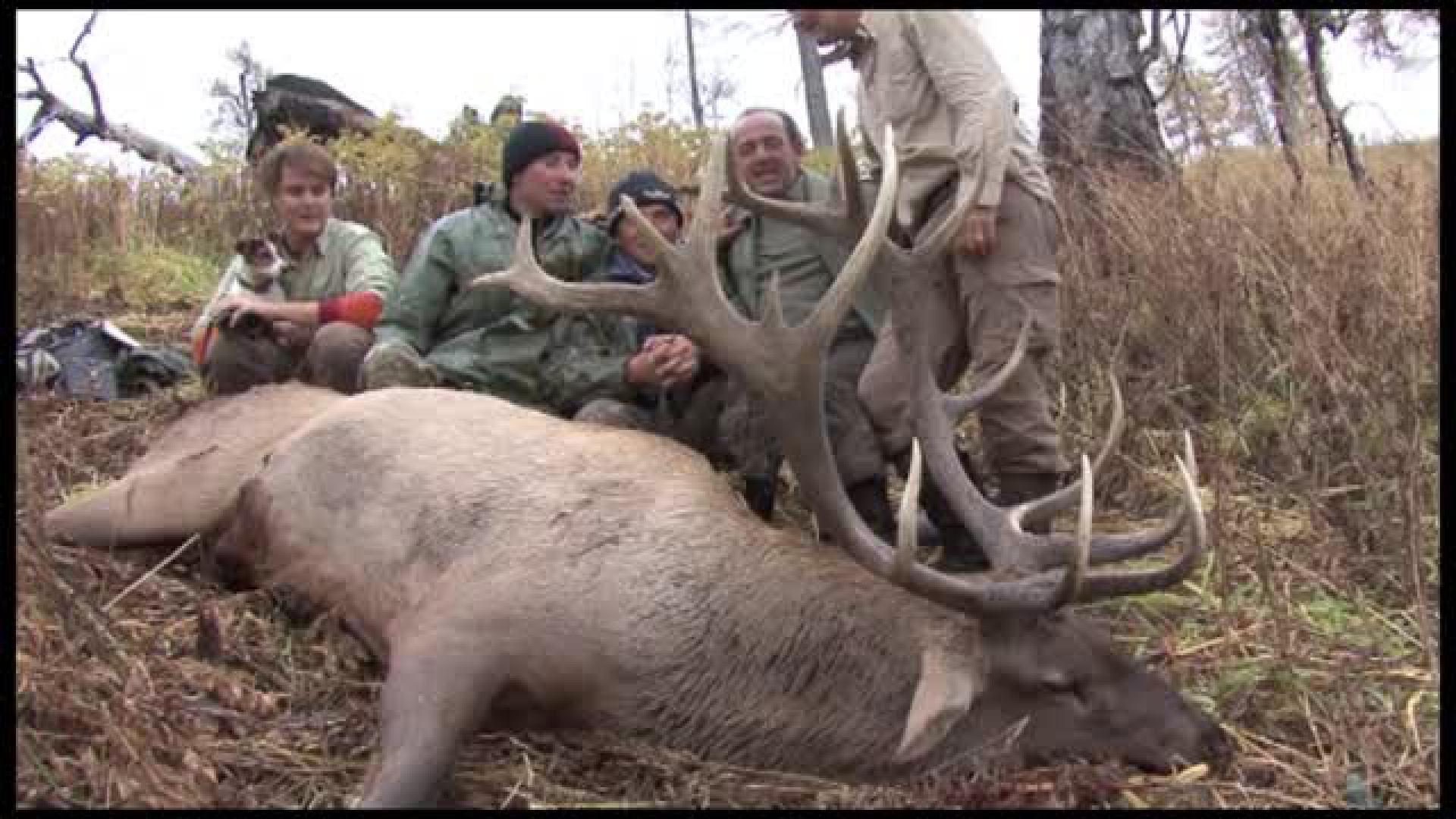 Seladang : Hjortjakt i Kazakstan