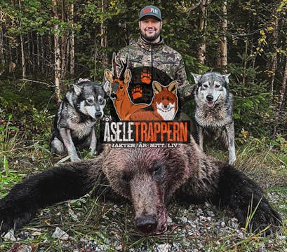Åseletrappern | Björnjakt 2