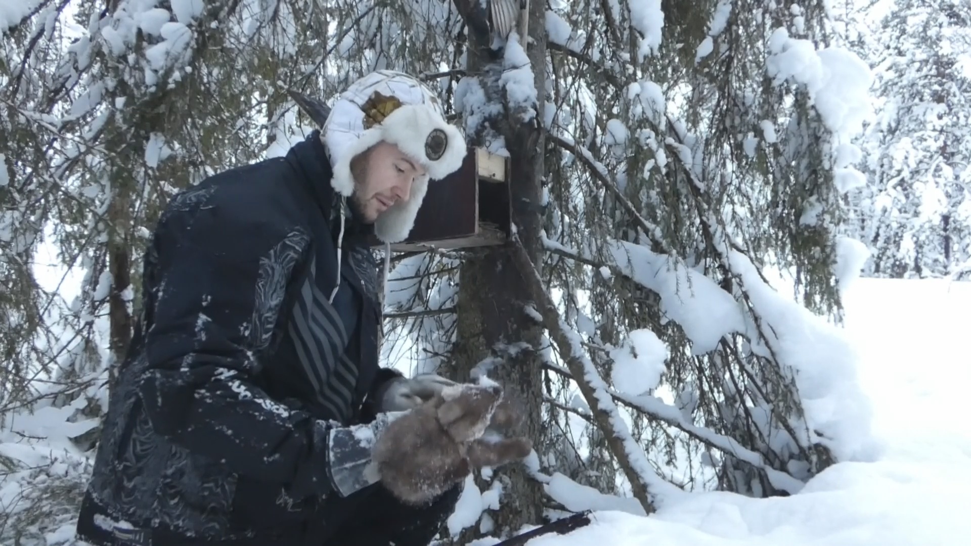 Åseletrappern : Fällfångst 2