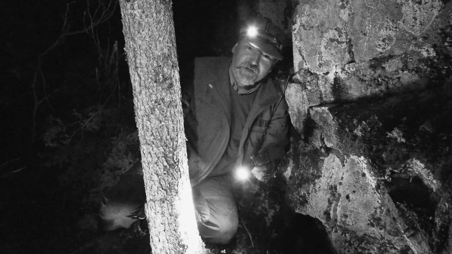 Rasmus Vardag : Grävling och Rävjakt