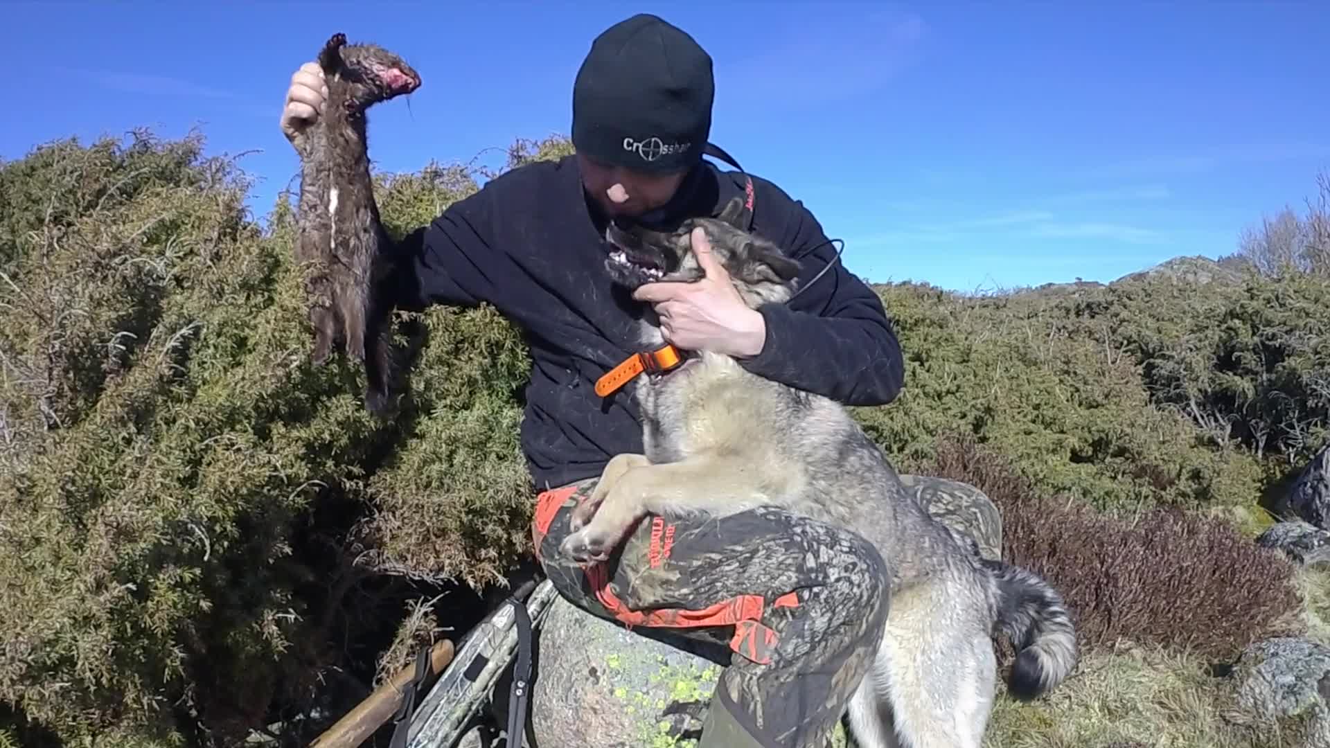 Martin Brenne Jegerliv : Kråka & Mink