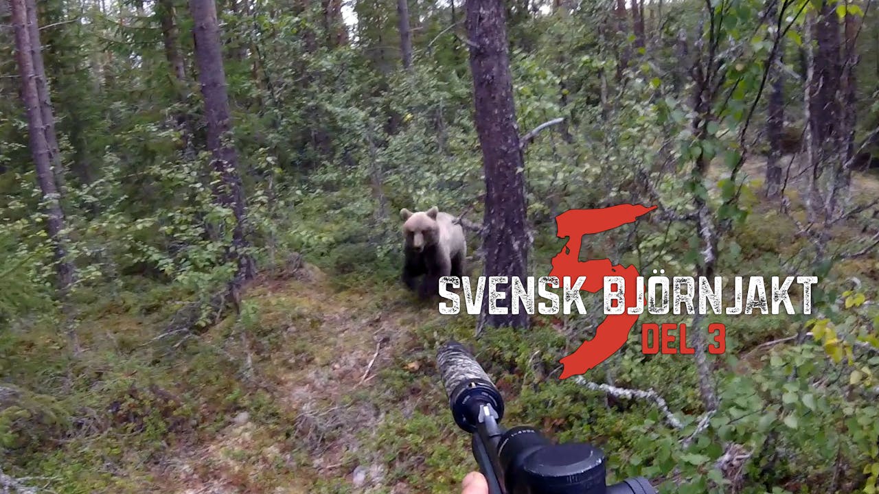 Svensk Björnjakt 5 Del 3 Säsong 1 Bearplay Jaktfilm 3360