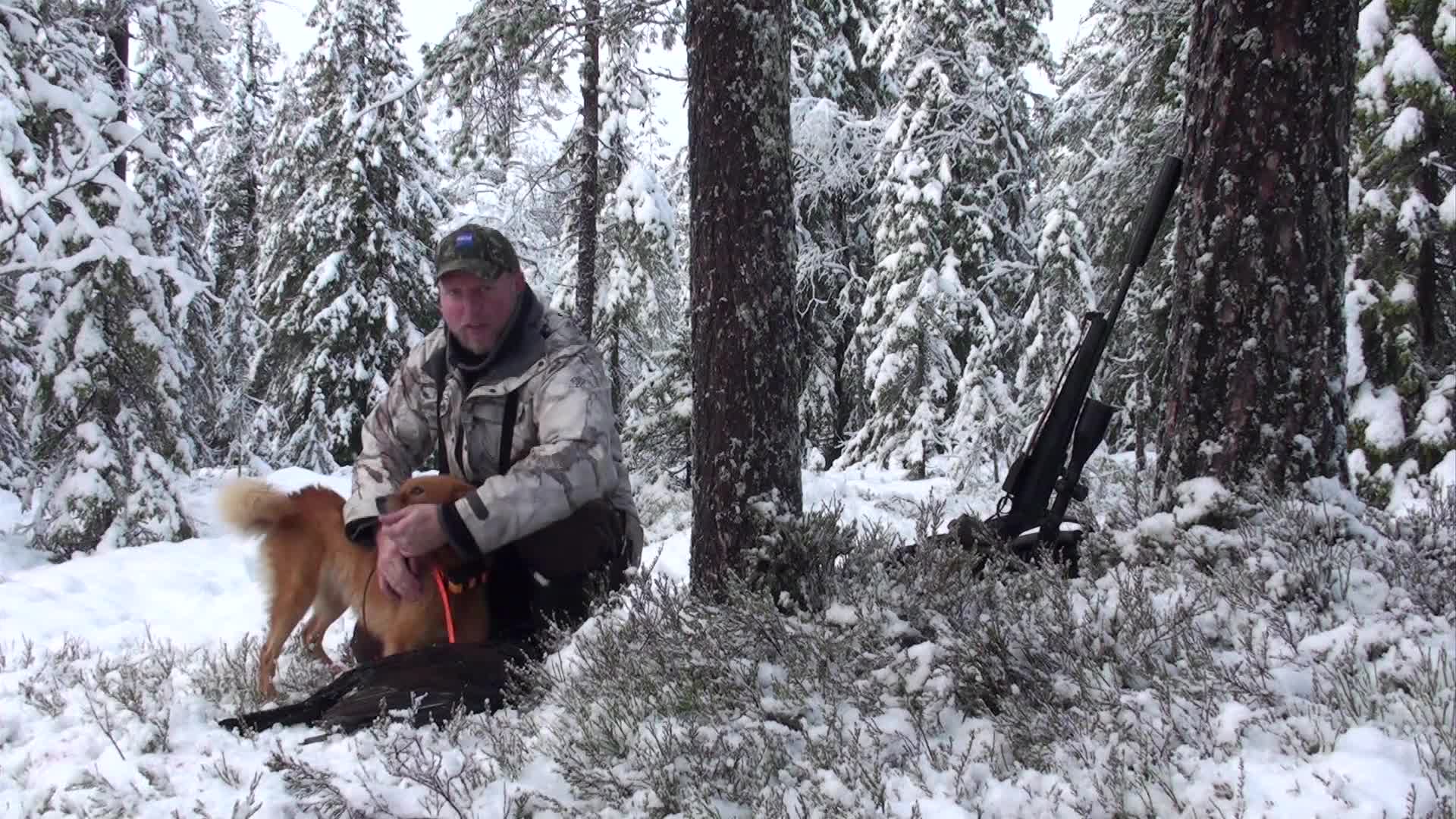 I Skogsfågelns Rike 4 : Kristoffer Clausen