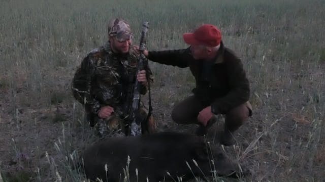 Åseletrappern : Vildsvinsjakt 1