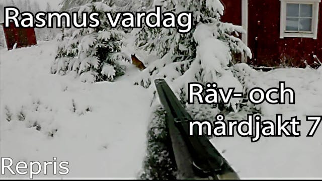Rasmus Vardag : Räv- & Mårdjakt 7