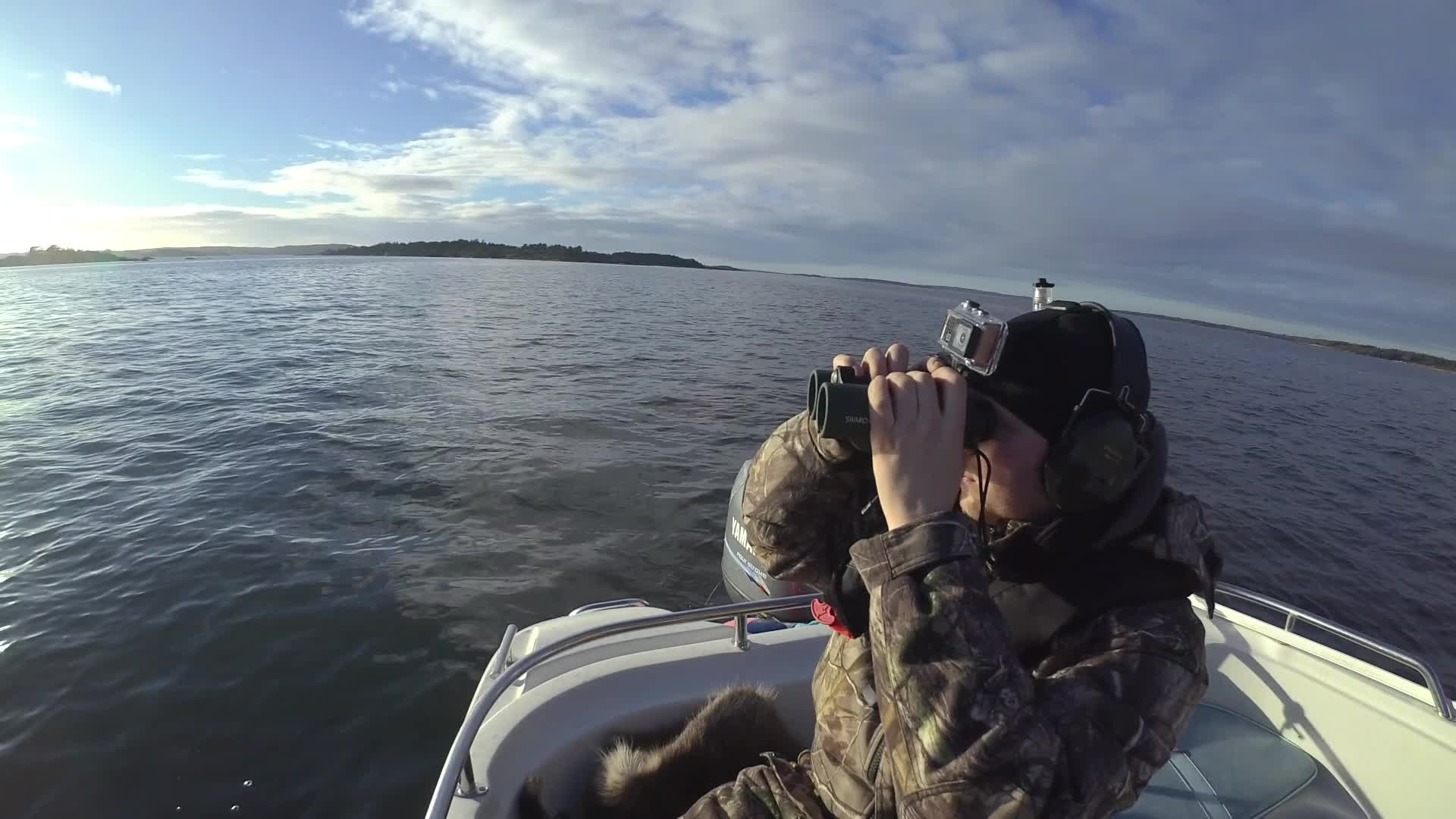 Martin Brenne Jegerliv : Säljakt