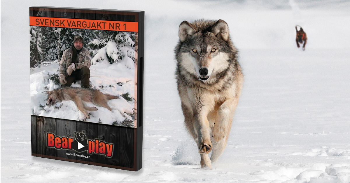 Svensk Vargjakt 1