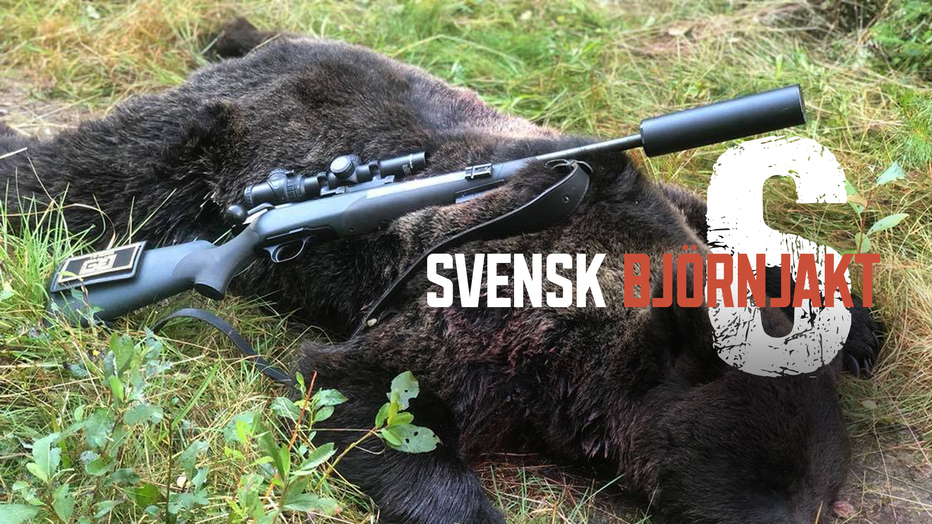 Svensk Björnjakt 6 Bearplay Jaktfilm