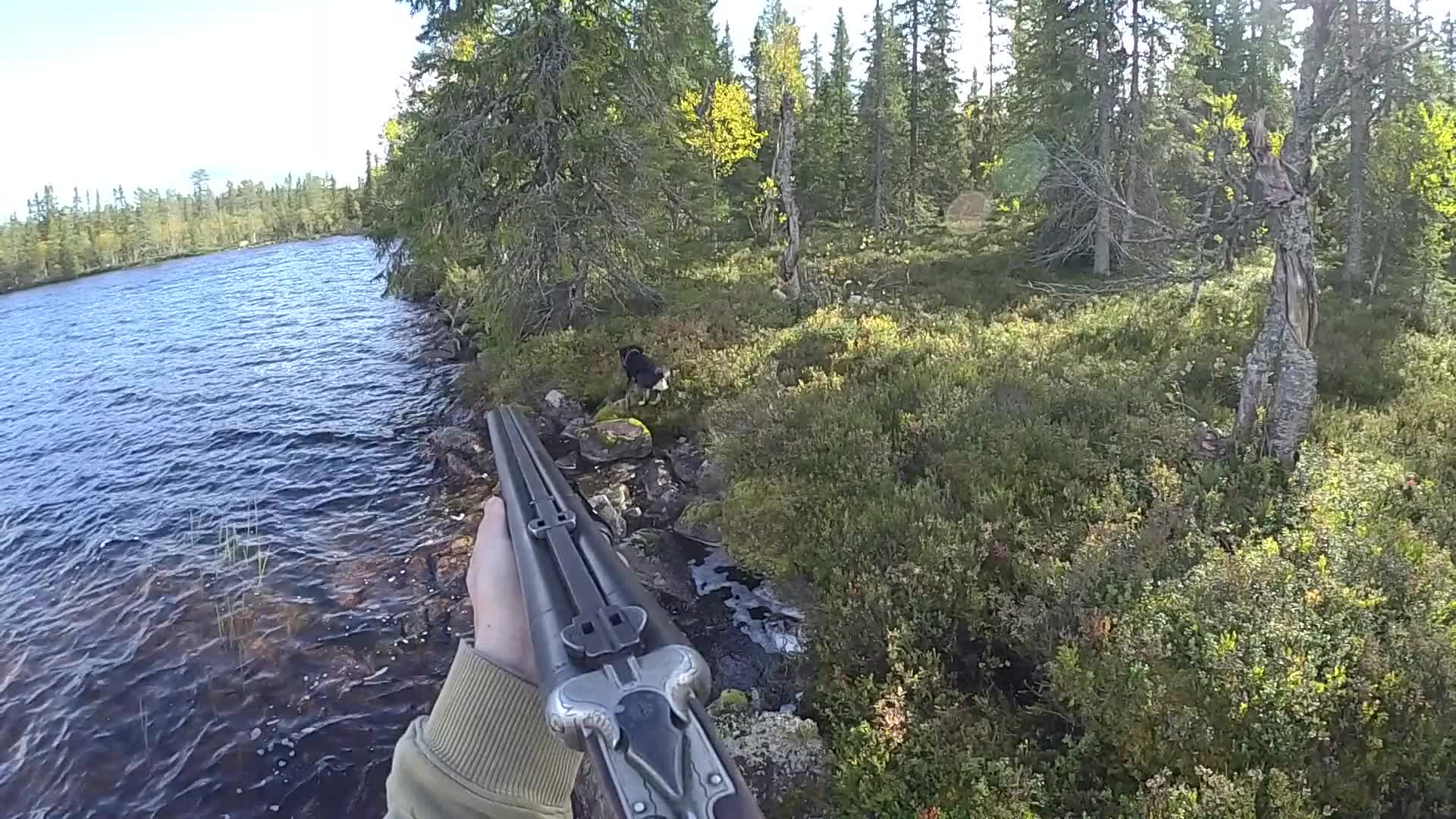 Rasmus Vardag : Mård & Minkjakt