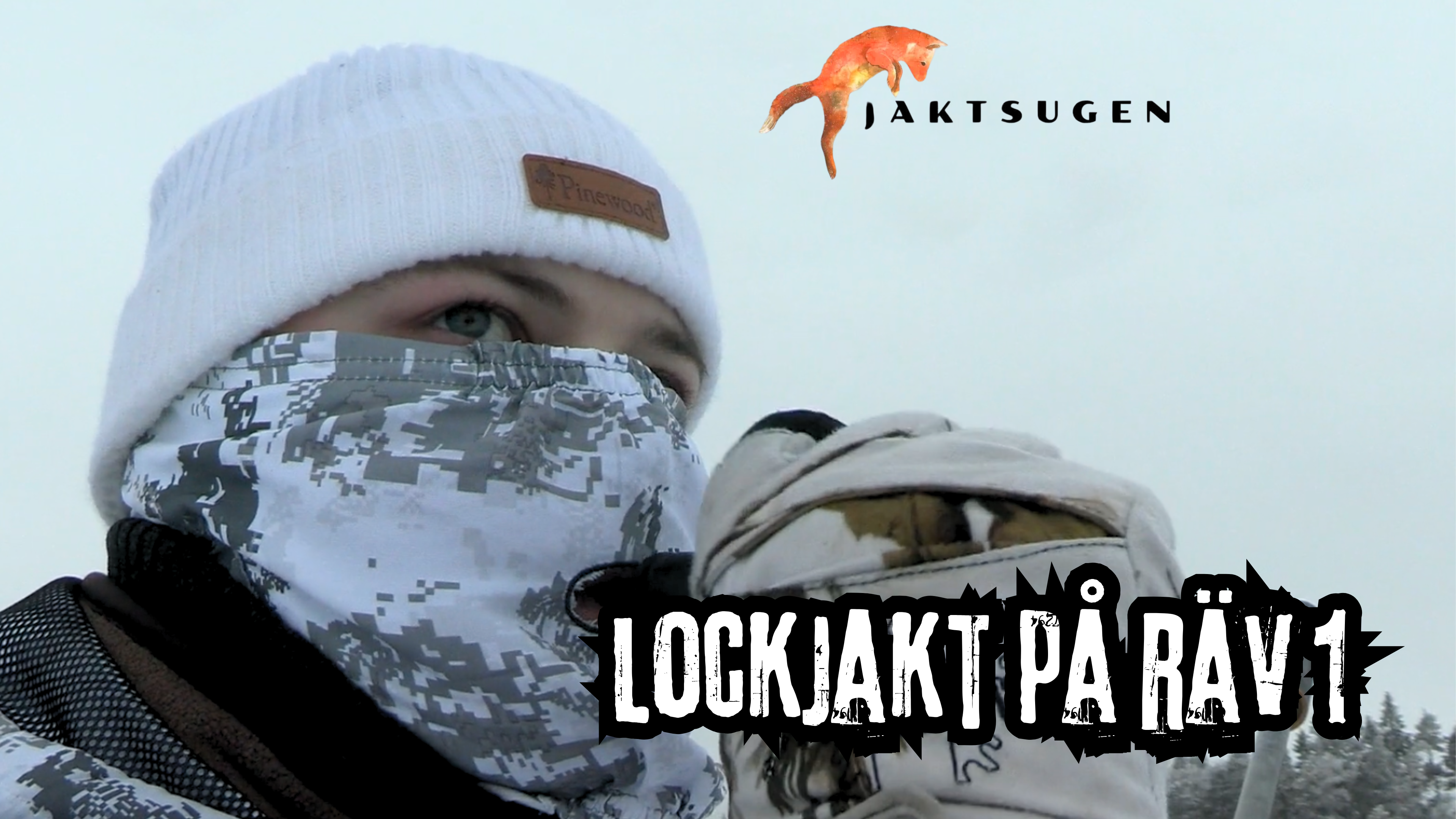 JAKTSUGEN - Lockjakt på räv 1 