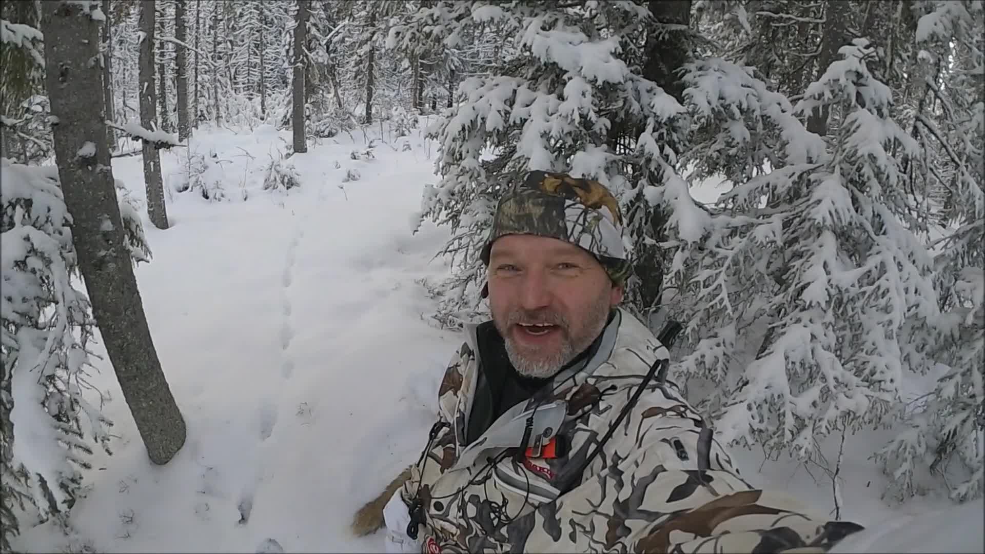 Rasmus Vardag : Räv- & Mårdjakt 12