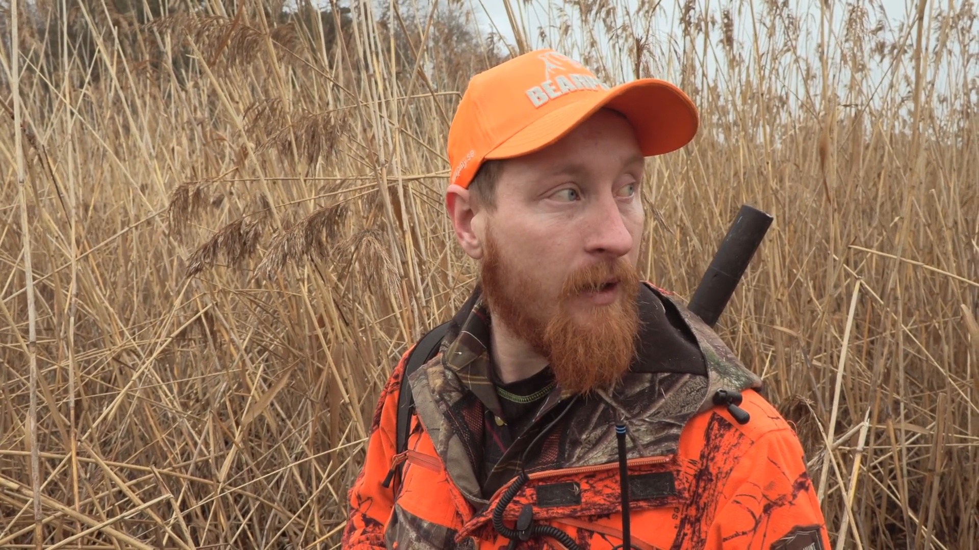 Martins Jakt : Speja jagar vildsvin i vassen