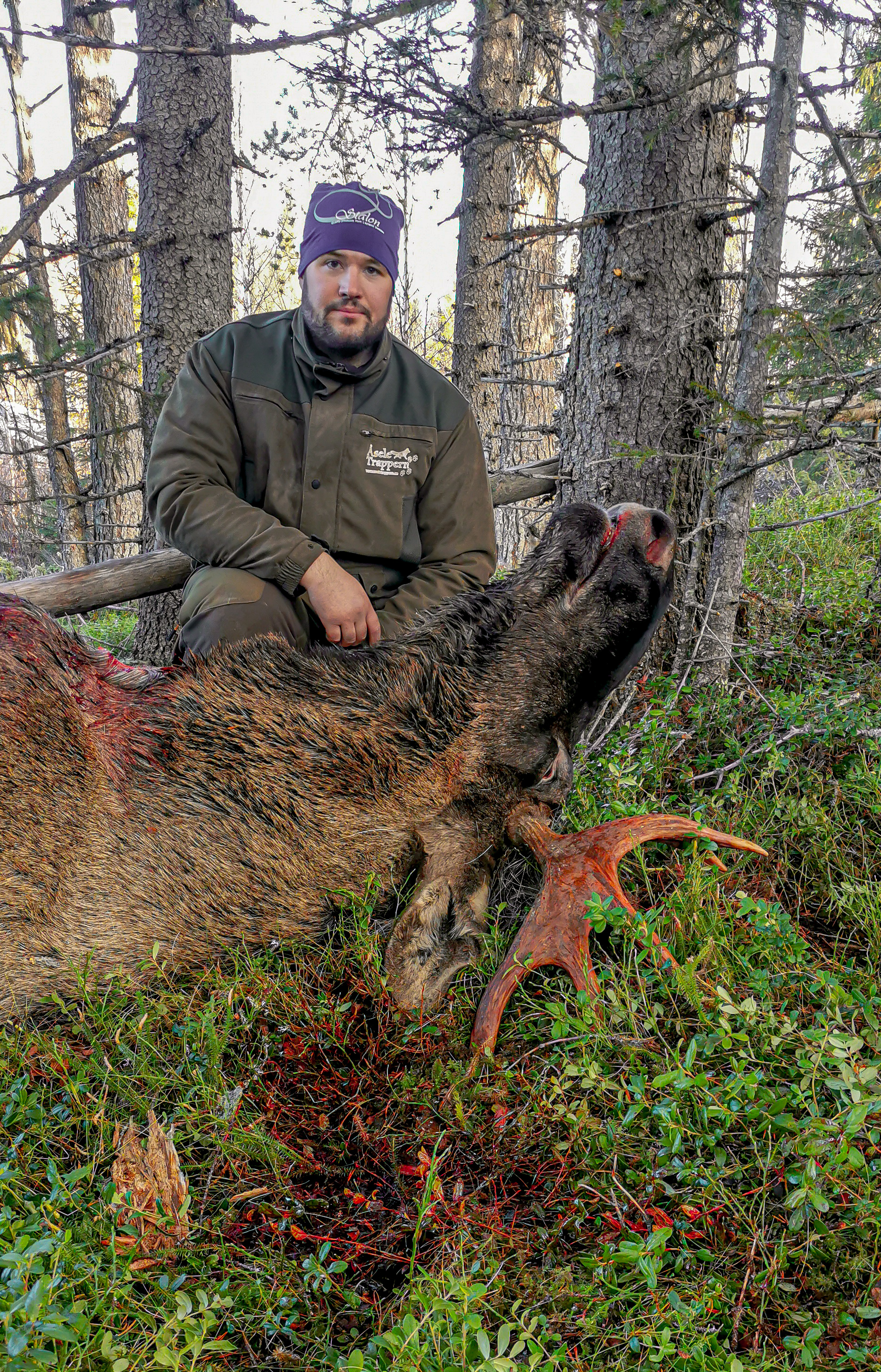 Åseletrappern - Älgjakt 2 