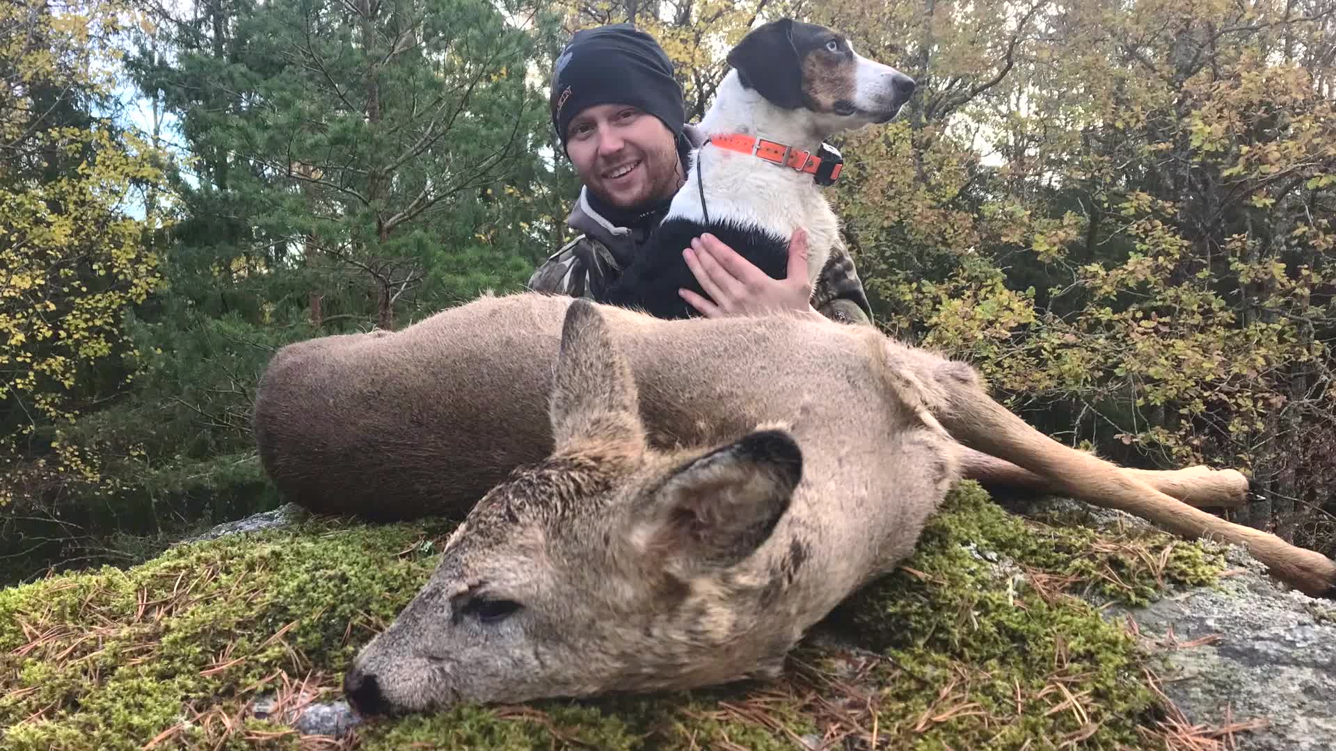 Martin Brenne Jegerliv : Rådjursjakt Med Drever