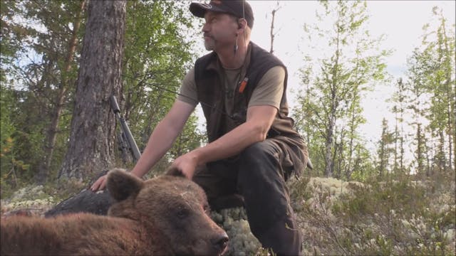 Björnjakten 2017 : Del 1