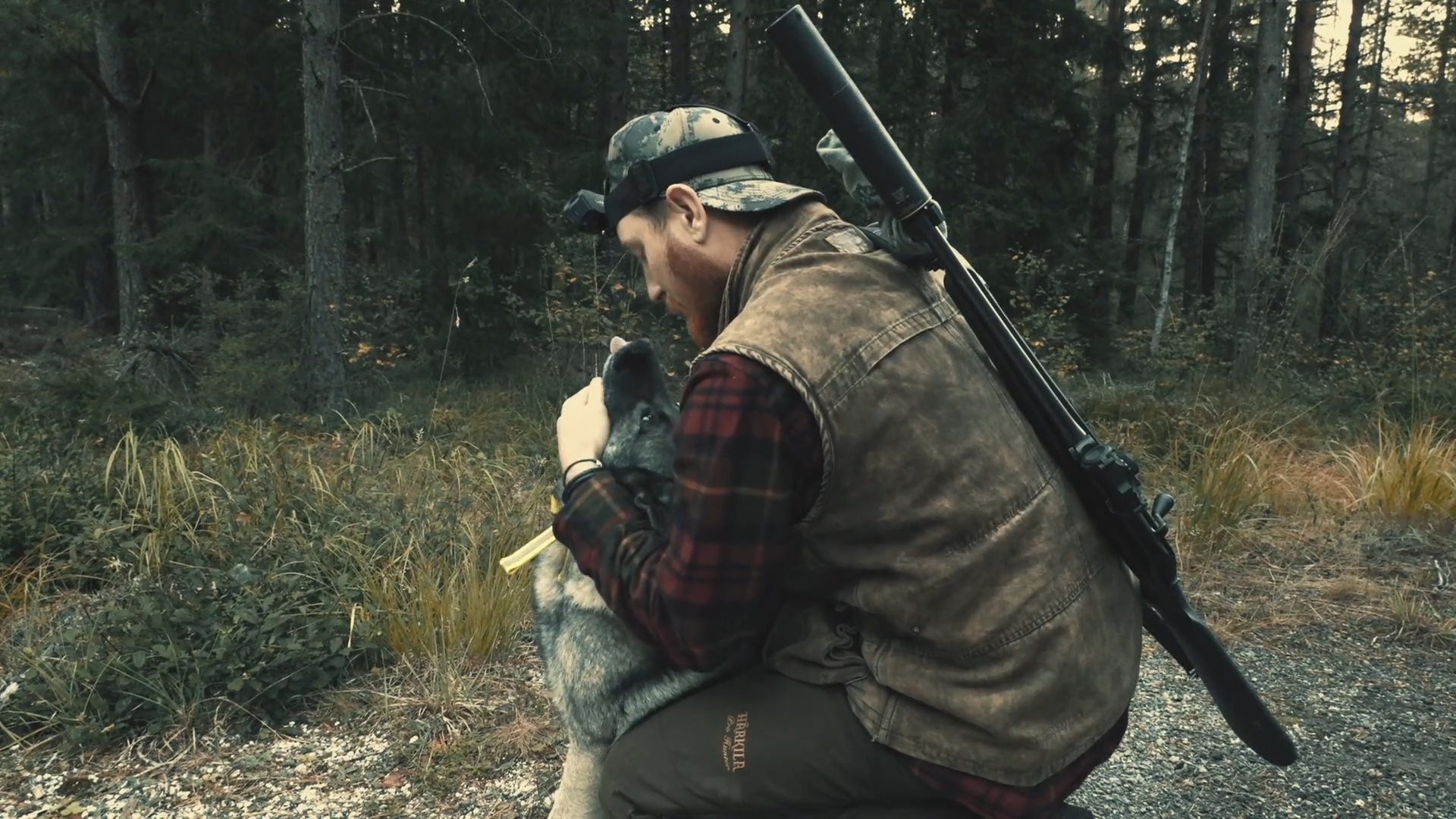 Martins Jakt : Gråhunden Ali