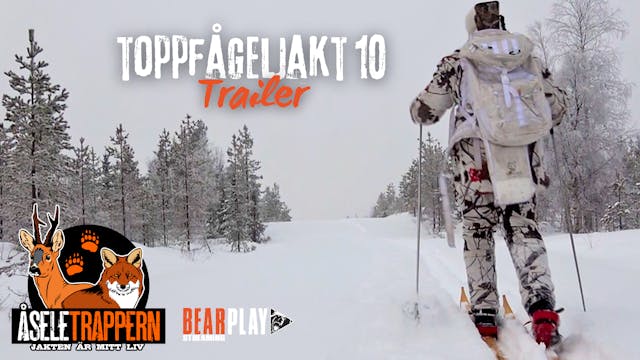 Åseletrappern | Toppfågeljakt 10 Trailer