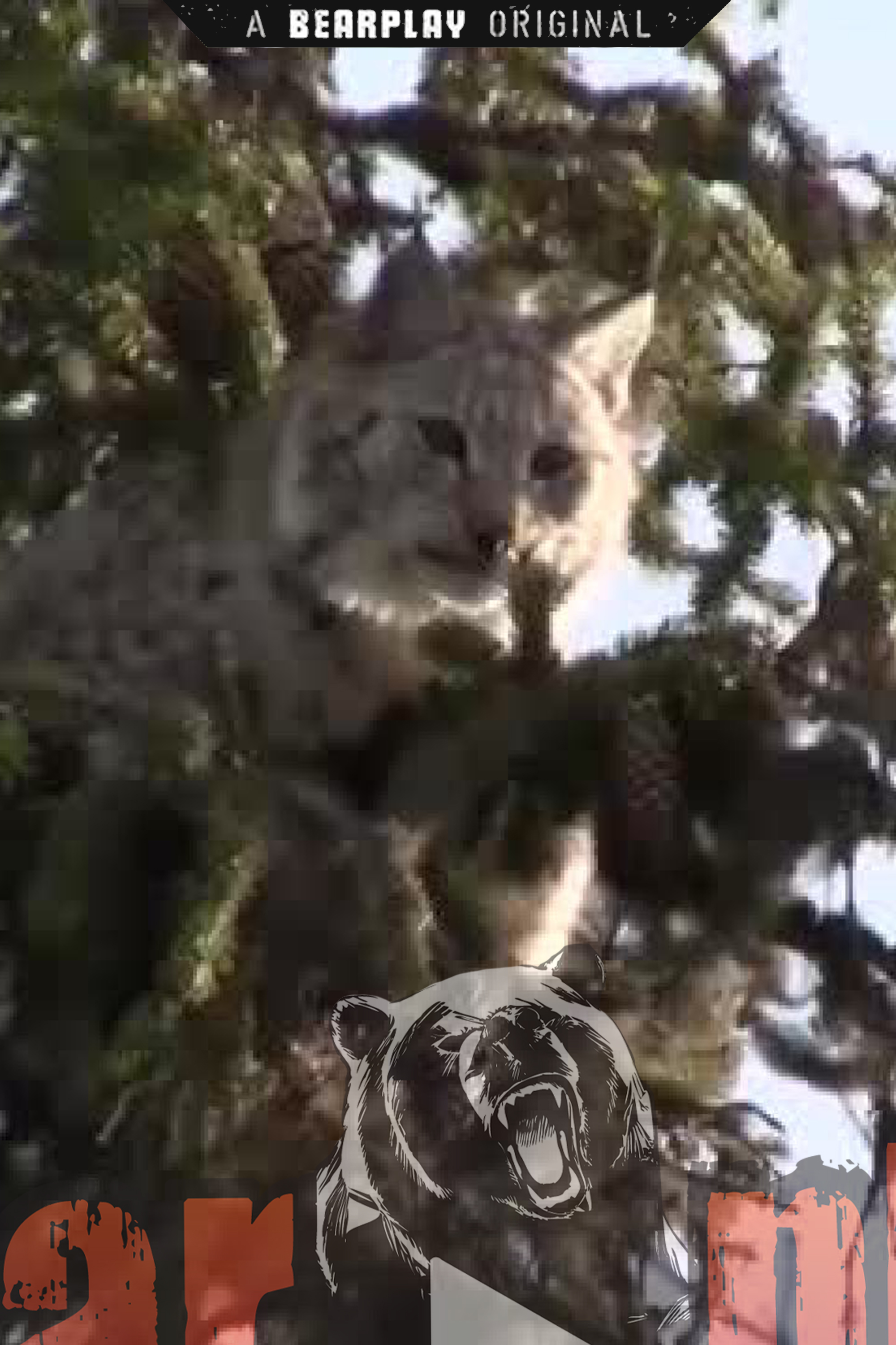 Svensk Lodjursjakt 2