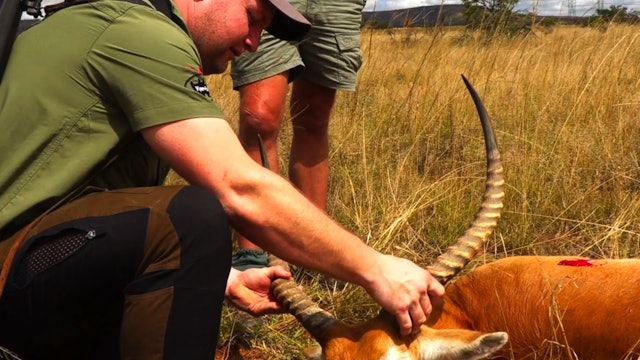 Kasper Hansen | Jakt i Sydafrika del 1 (Svensk text)