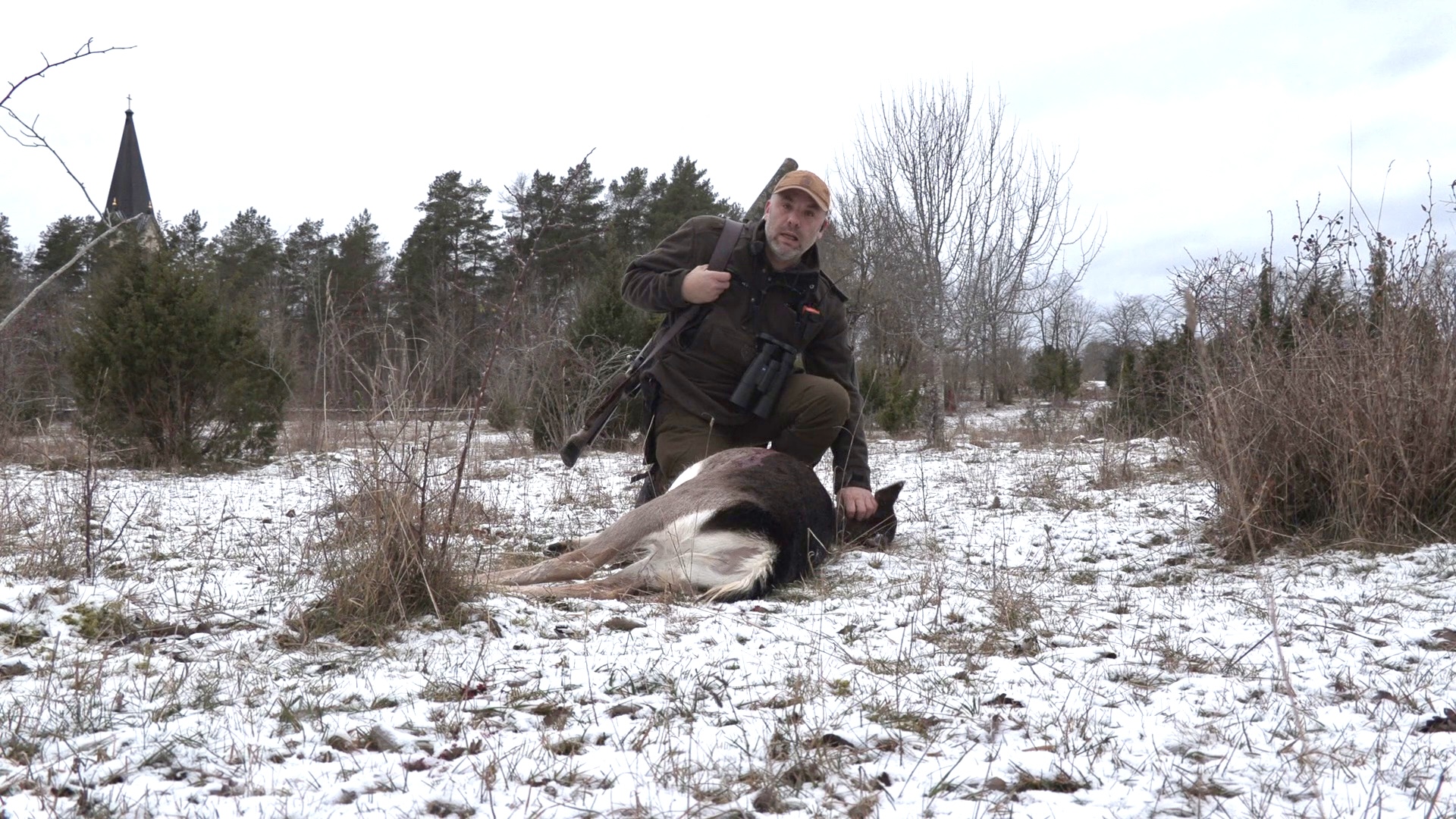 Hjortarna på Kinnekulle : Introduktion