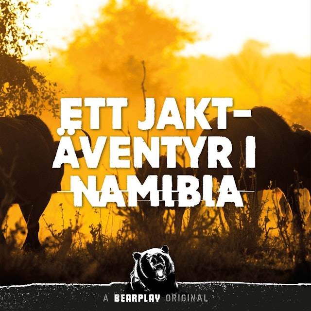 Ett Jaktäventyr i Namibia