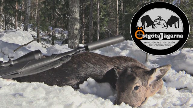 Östgötajägarna : Smygjakt På Dovvilt
