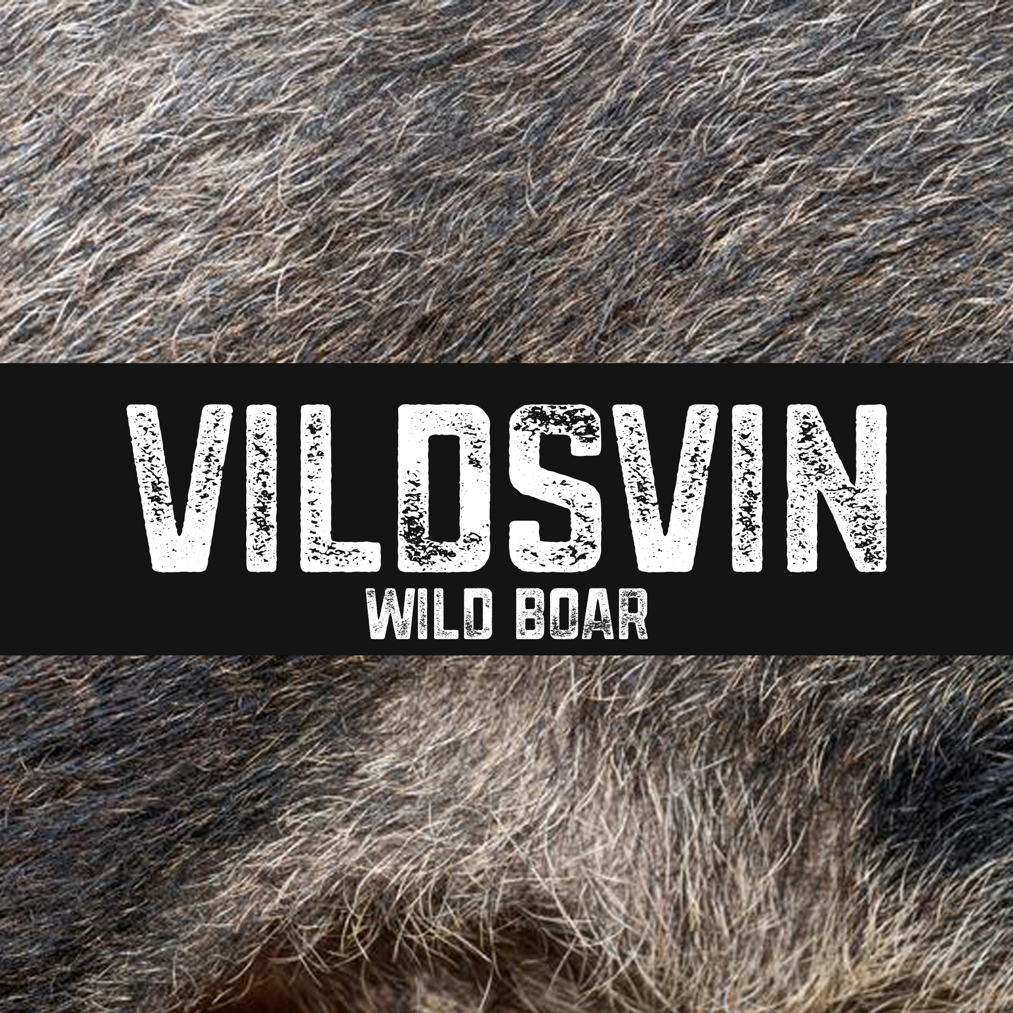 Vildsvin | Wild boar