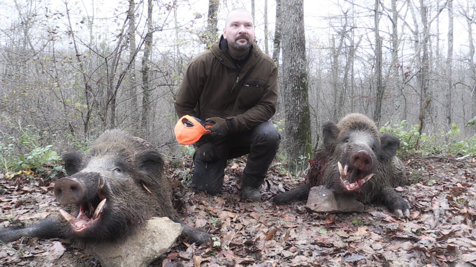 Vildsvinsjakt I Bulgarien : Del 3
