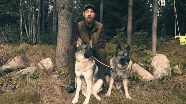 Martins Jakt : Introduktion