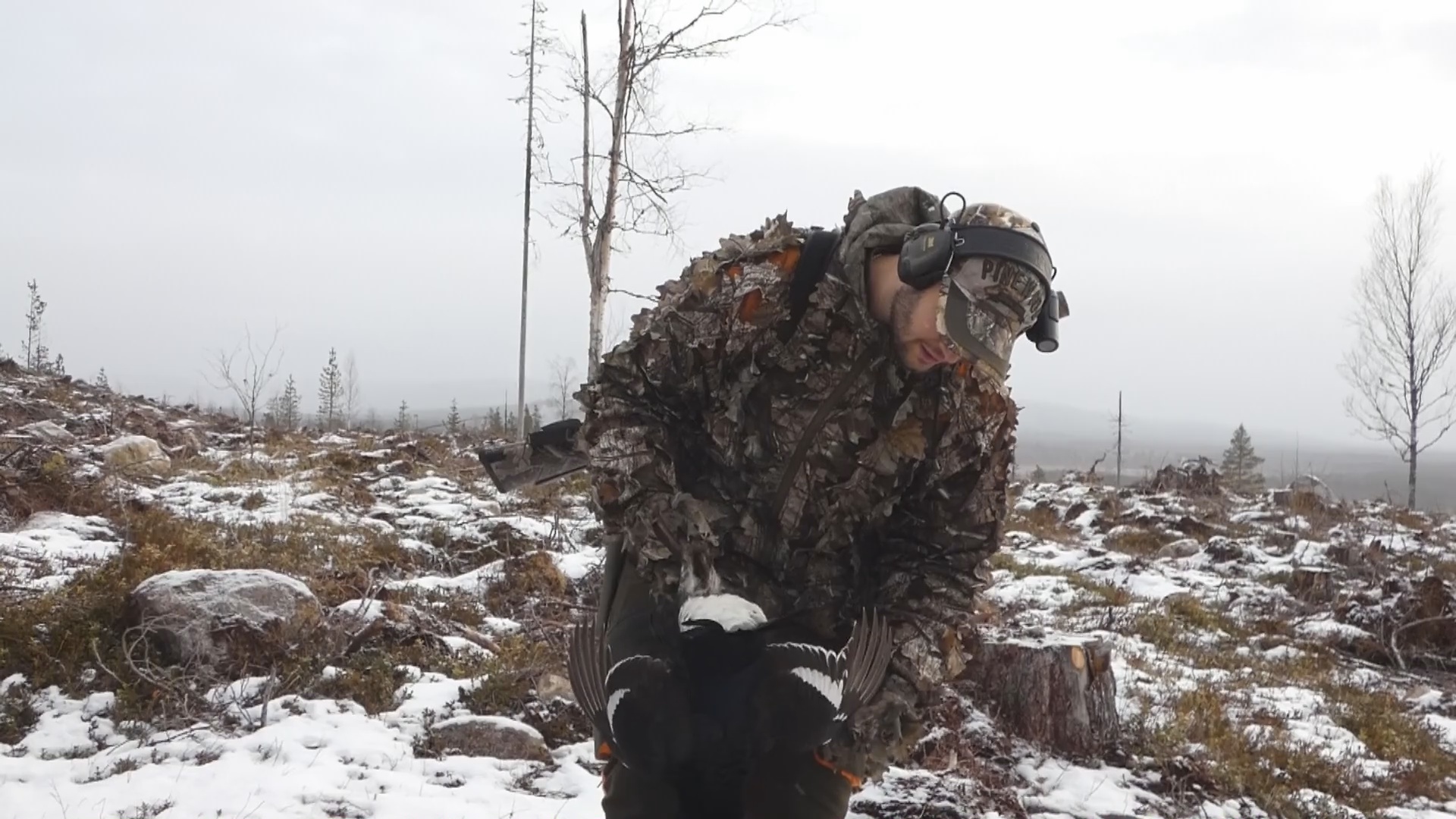 ÅseleTrappern : Toppfågeljakt 1