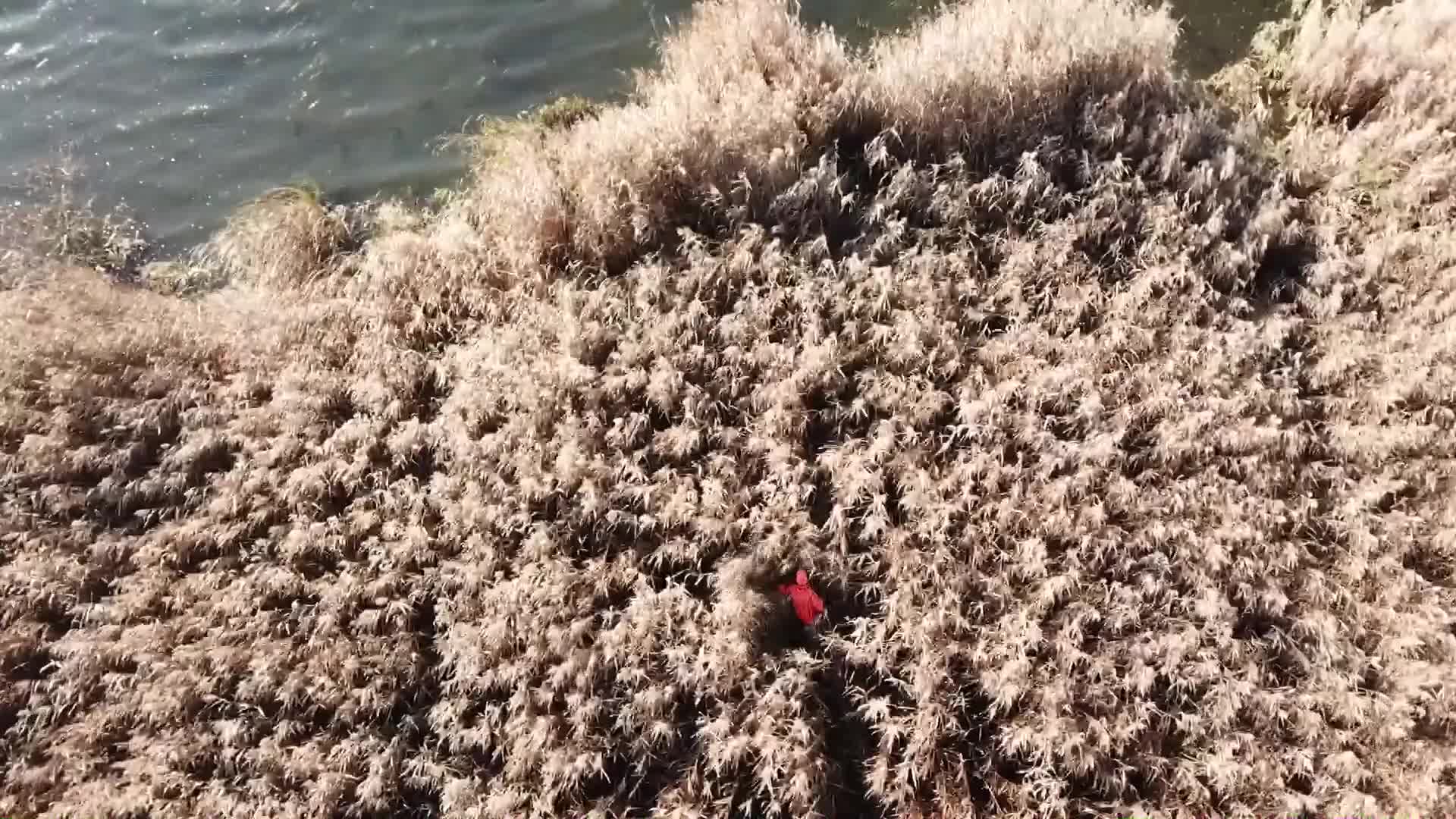 Fredrikssons jakthistoria : Del 4 Drevjakt och fart i vassen Trailer 1