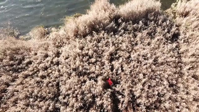 Fredrikssons jakthistoria : Del 4 Dre...