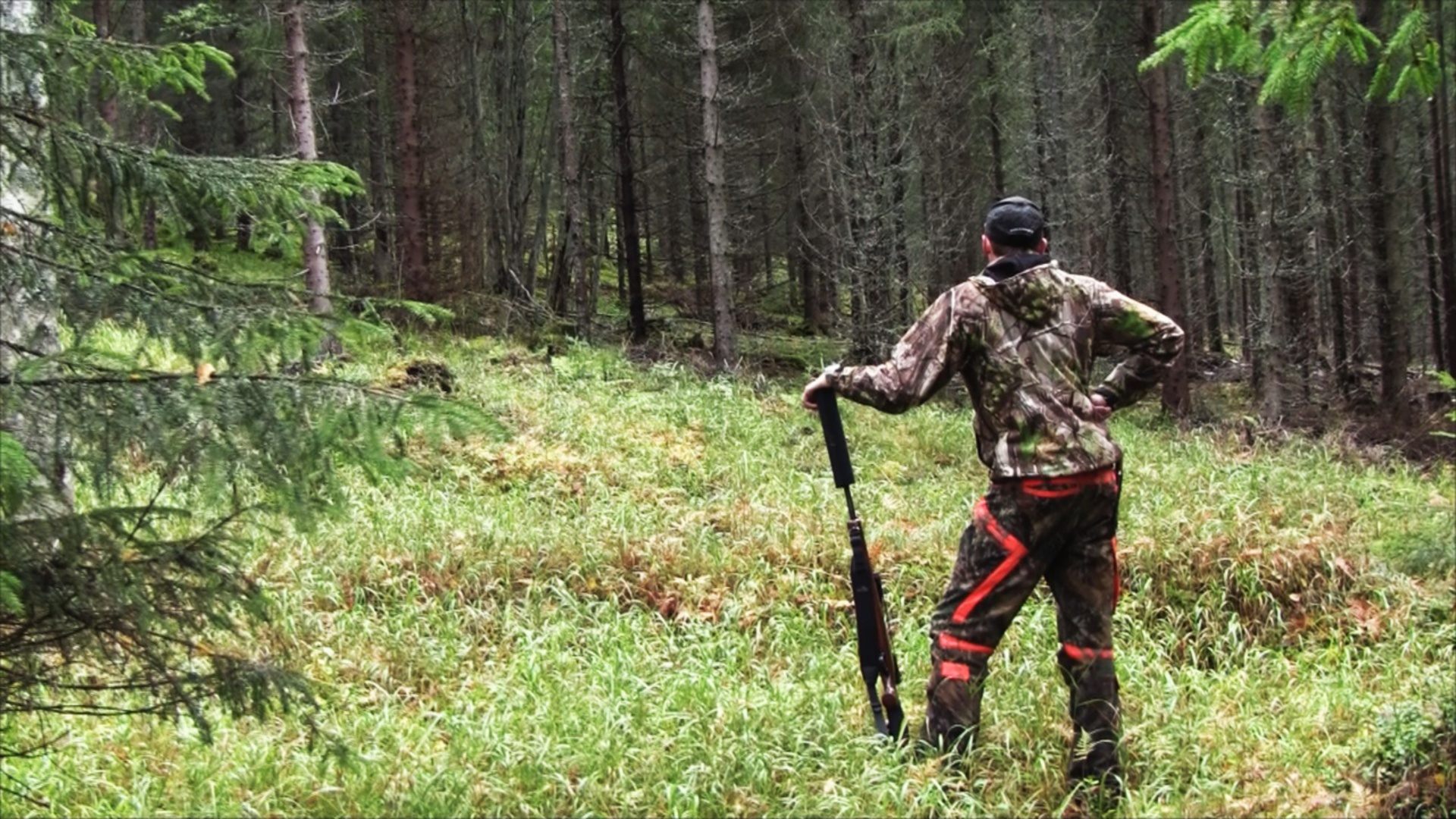 Älghund SM 2015 : Del 2