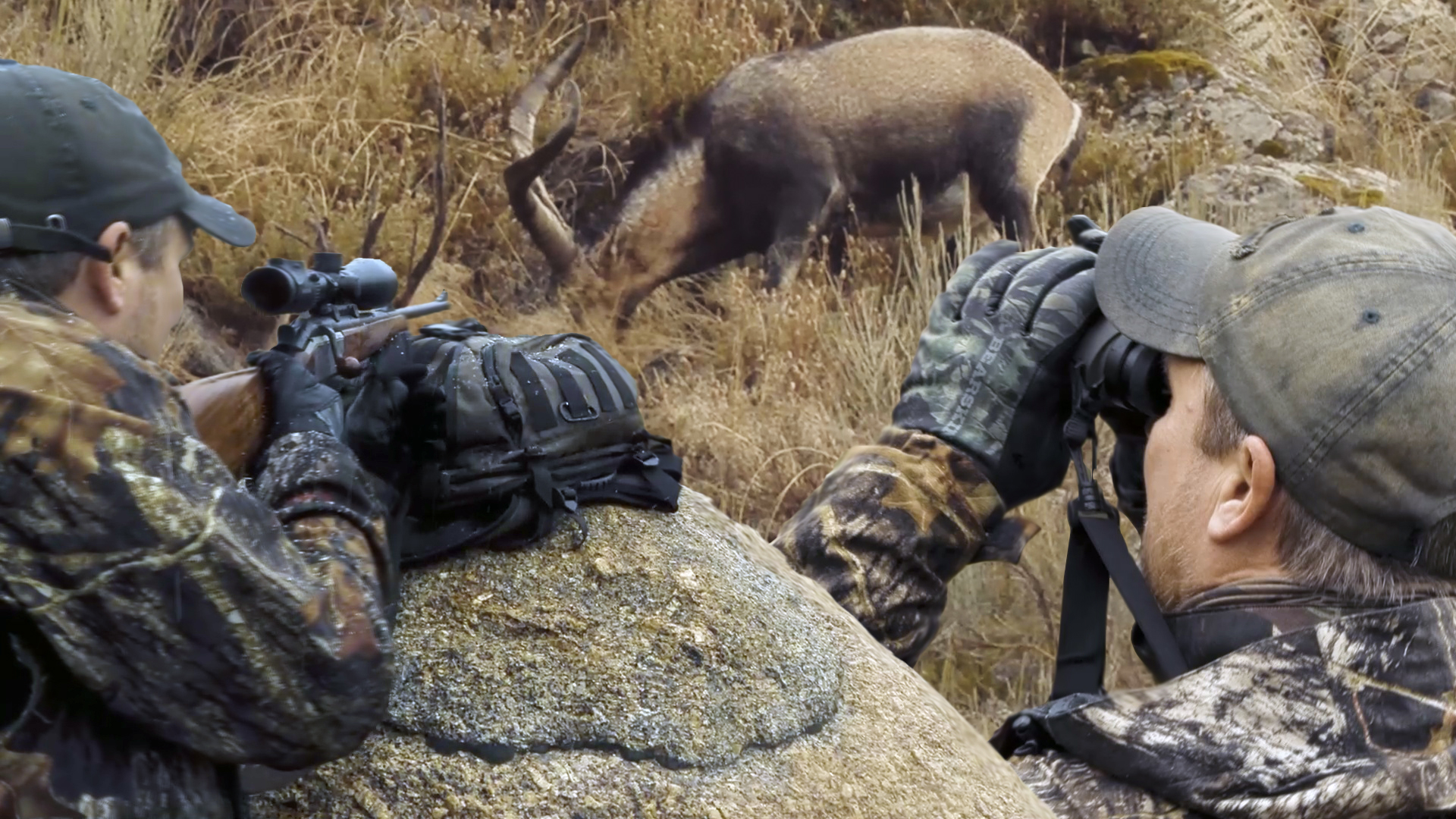 Destination : Ibexjakt i Gredos