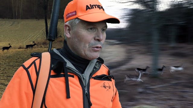 Fredrikssons Jakthistoria : Drevjakt ...