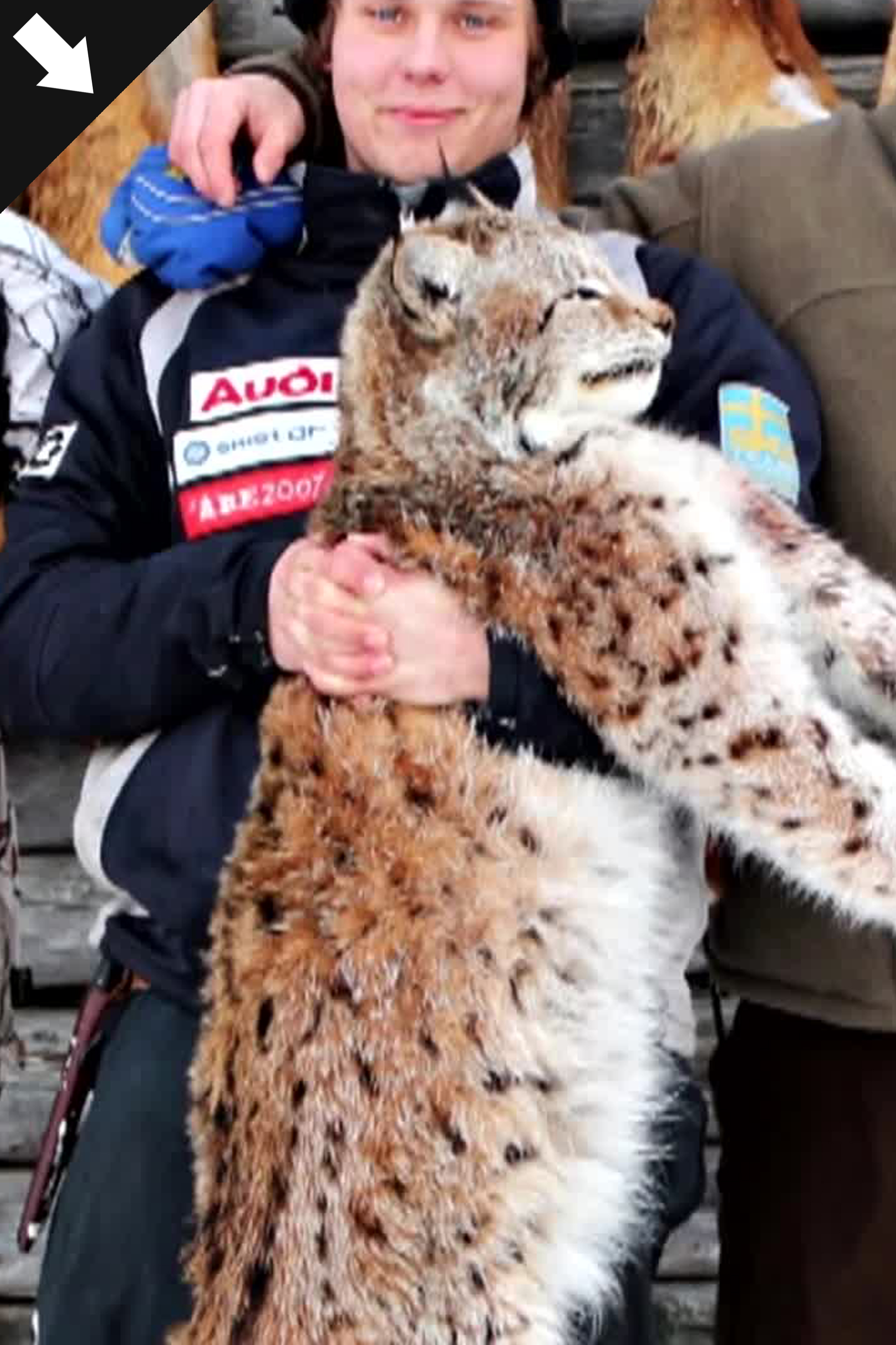 Hunnskall och Bomskott 1 : I Sorseleskogarna