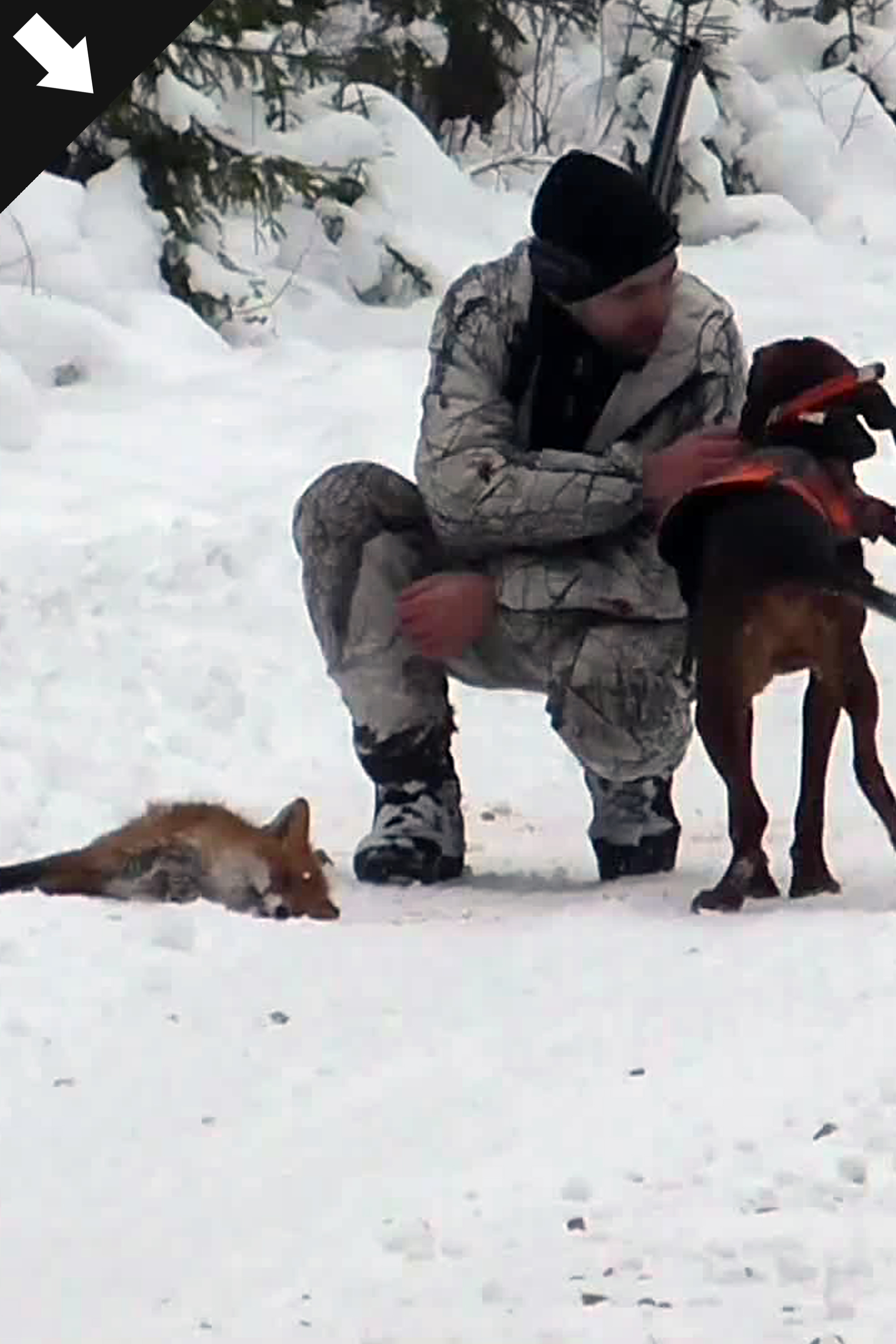 Bröderna Bravader : Räv och Mård 2