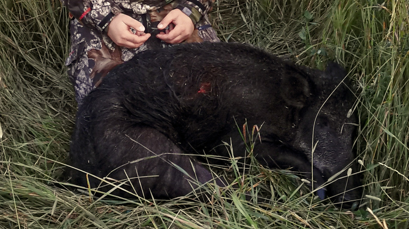 Åseletrappern | Vildsvinsjakt 2 Trailer