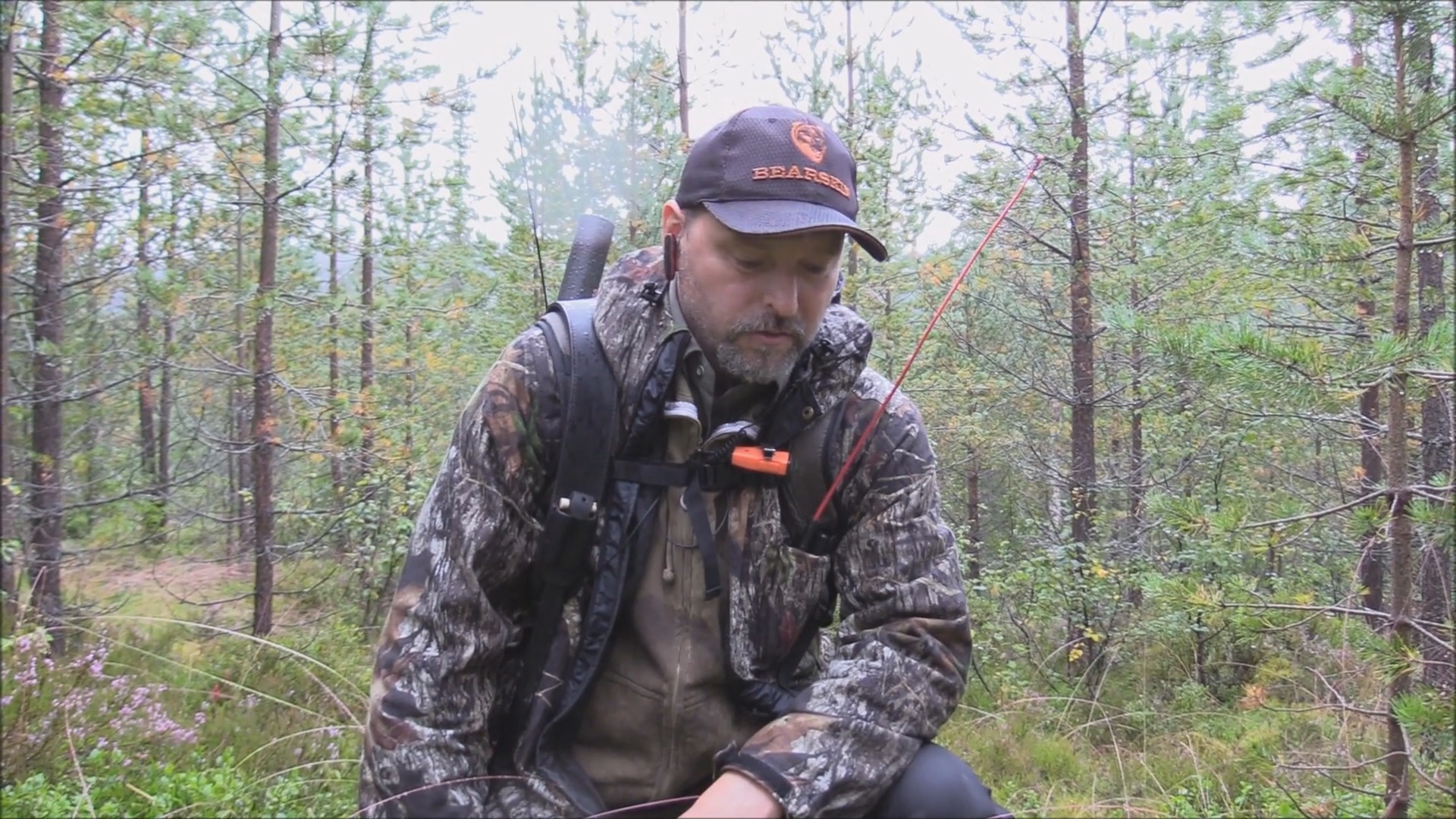 Björnjakten 2016 : Del 2