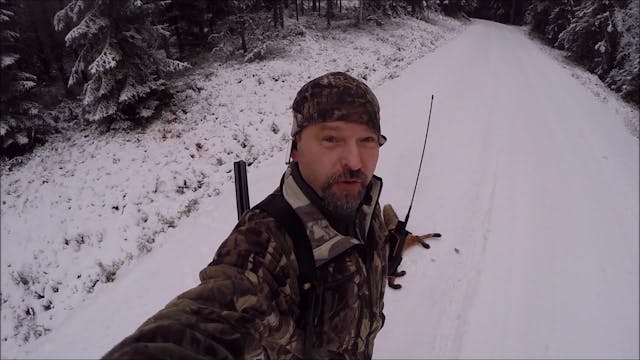 Rasmus Vardag : Räv- & Mårdjakt 3