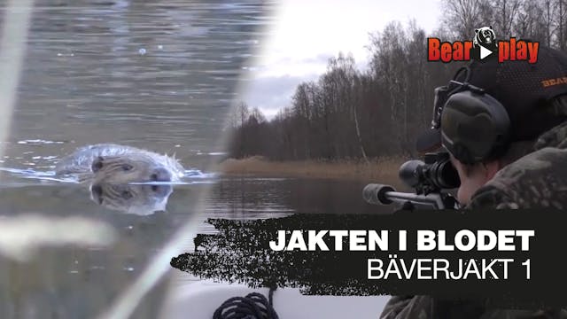 Jakten I Blodet : Bäverjakt Del 1