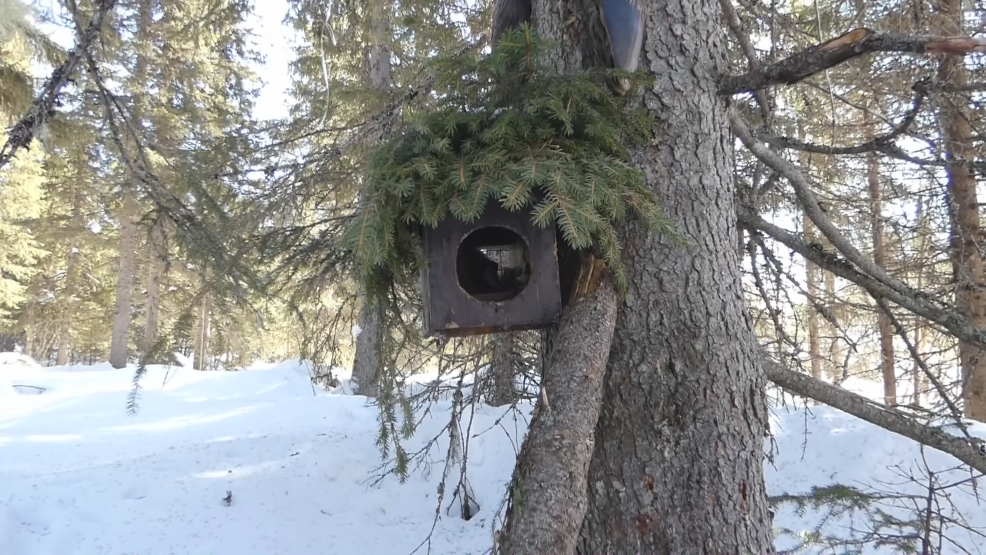 Åseletrappern : Fällfångst 1