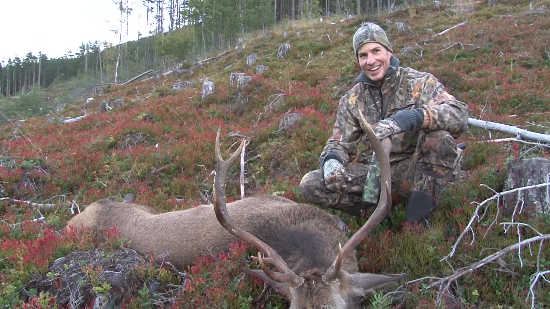 Älg, Hjort Och Rådjur 4 : Kristoffer Clausen