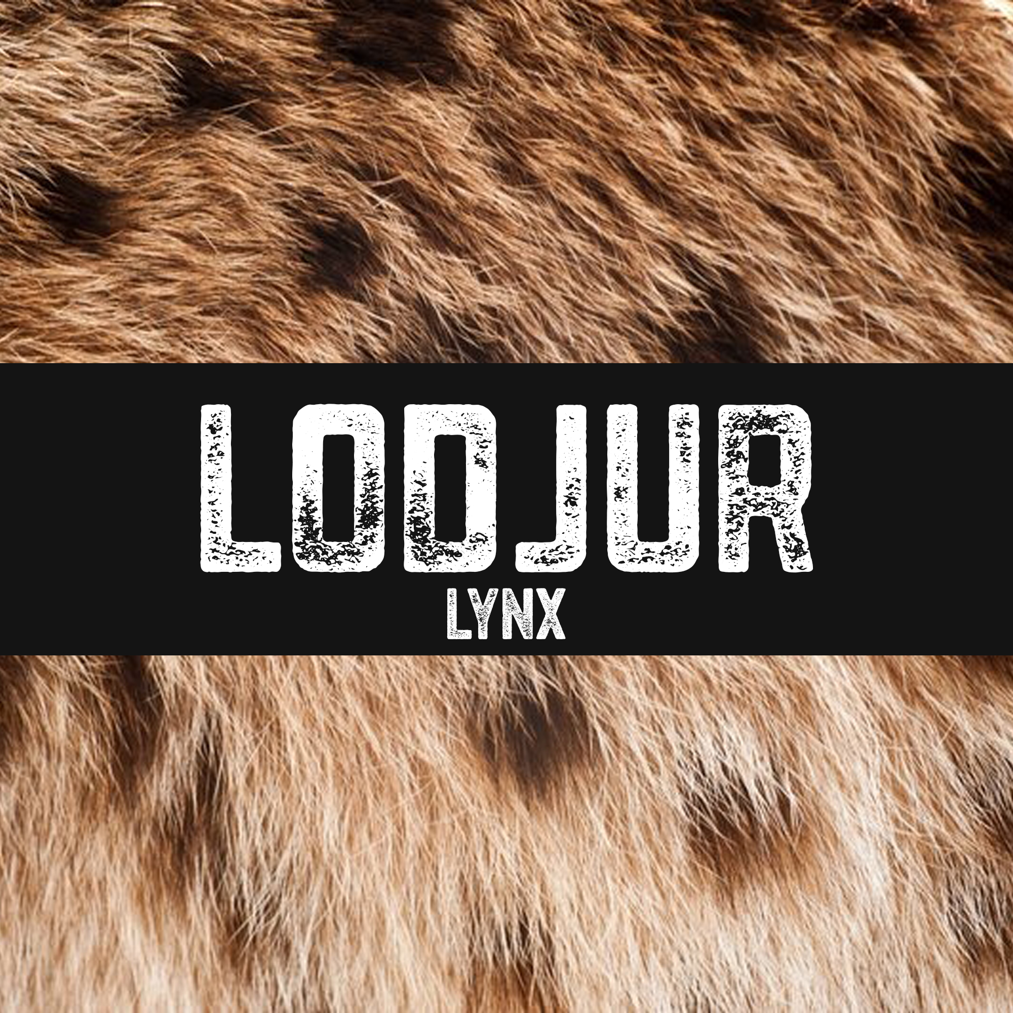 Lodjur | Lynx