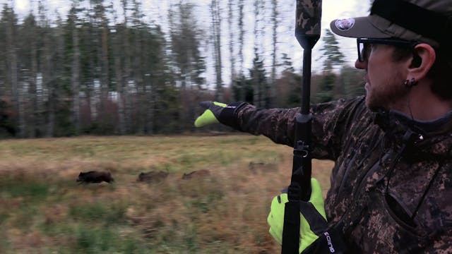 Jakt Med Jonas Och Dennis : Drevjakt ...