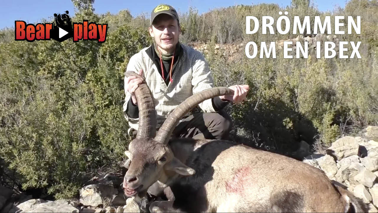 Pierre Norberg : Drömmen Om En Ibex