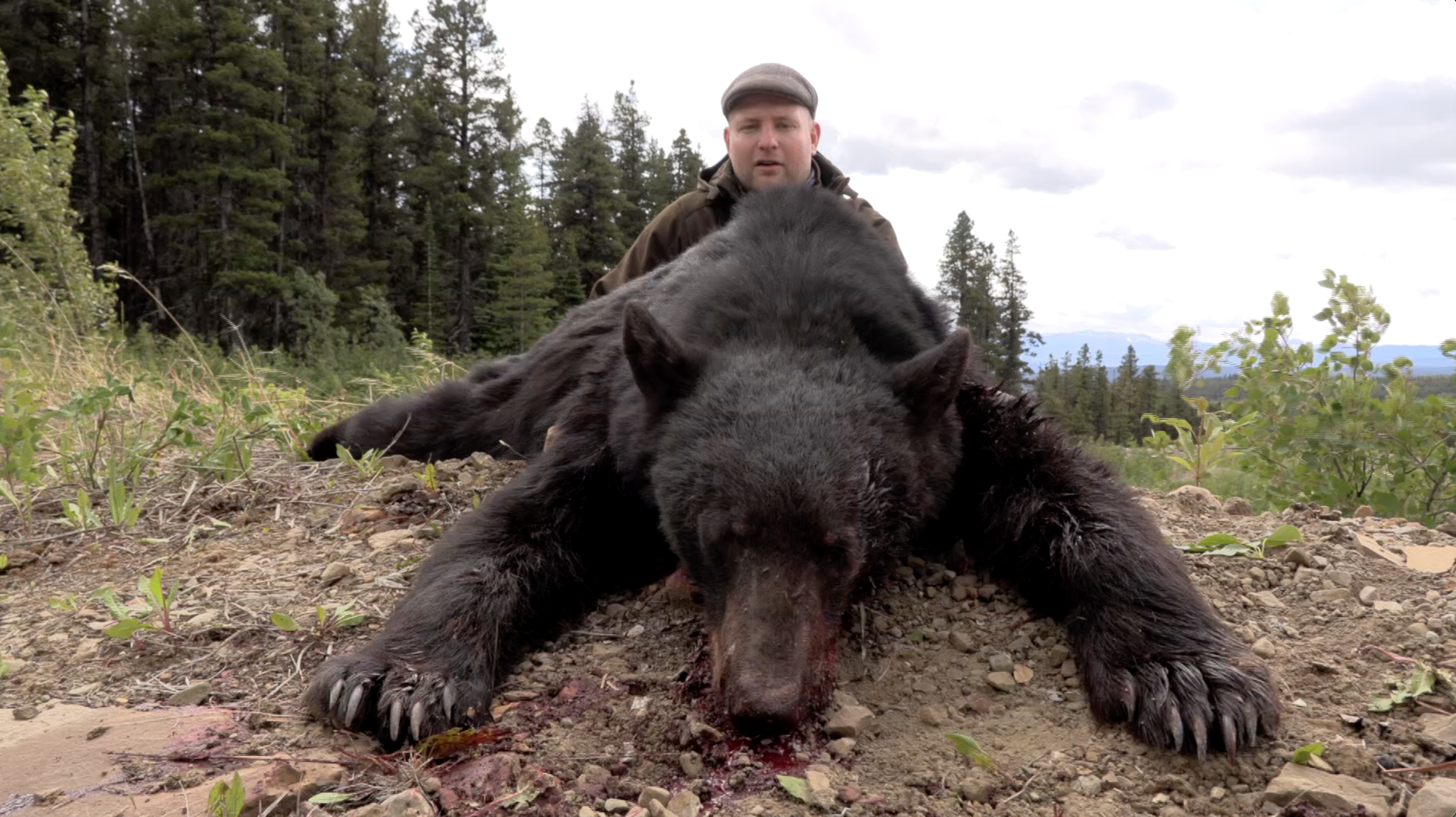 Destination : Svartbjörnsjakt i Kanada 