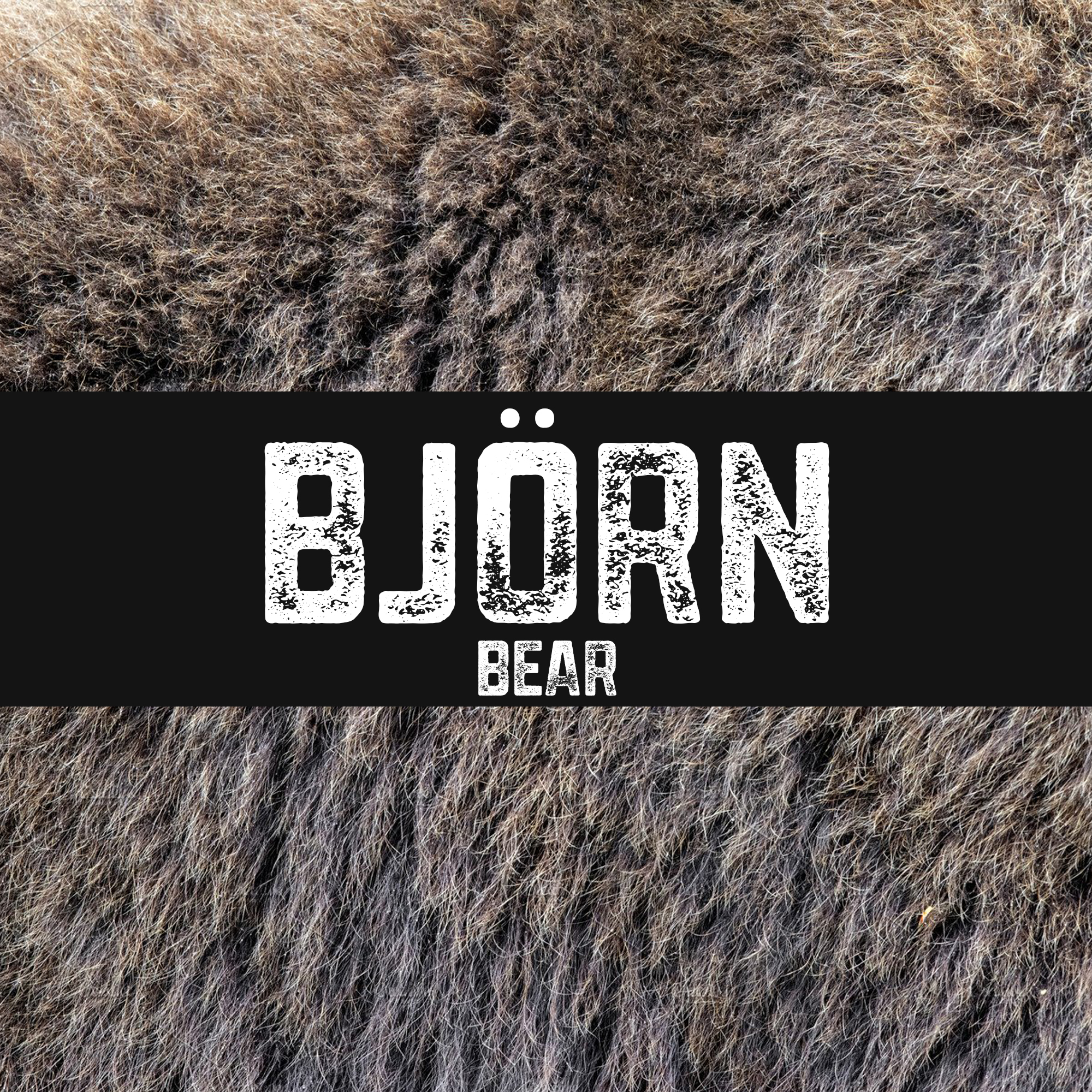 Björn | Bear
