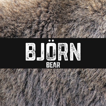 Björn | Bear